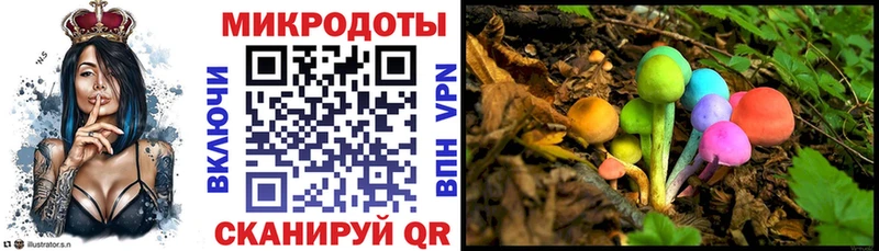 наркота Емва Галлюциногенные грибы Psilocybine cubensis